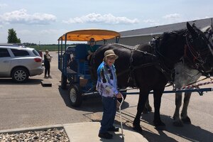 Horse and Wagon